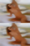 Horny housewives Dallas